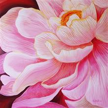Peony Flower, painting by Chitra Vaidya,  Acrylic on Canvas, 24 x 24 inches 