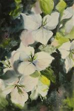White Flowers - 2, Painting by Chitra Vaidya, Watercolour on Paper, 21 x 14  inches