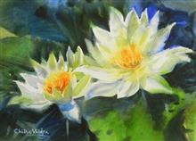 White Lotus Flowers, painting by Chitra Vaidya, Watercolour on Paper, 10 x 14 inches