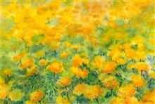 Marigold Fields, Print by Chitra Vaidya 